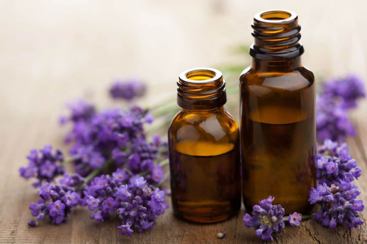 Foto de Florais de Bach: saiba qual é o efeito no organismo