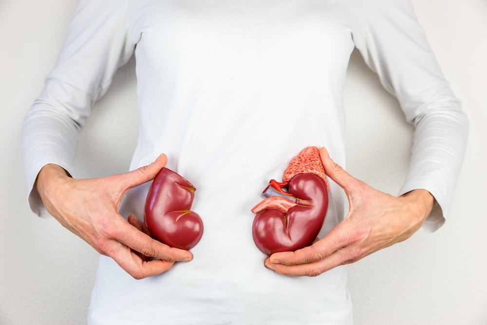 Foto de Pessoas com insuficiência renal são grupos de risco?