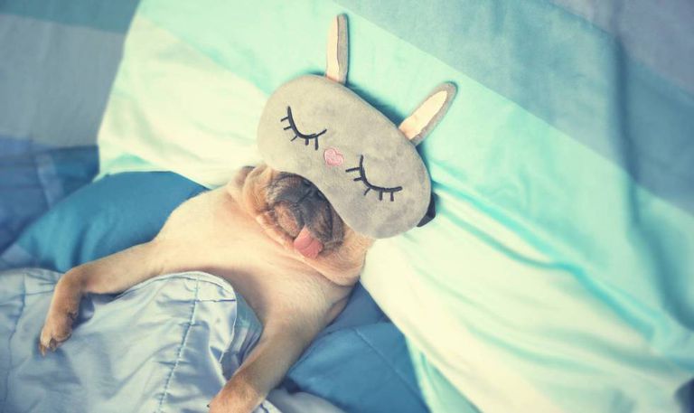 Foto de Benefícios de dormir: saiba qual é a importância e como melhorar a sua