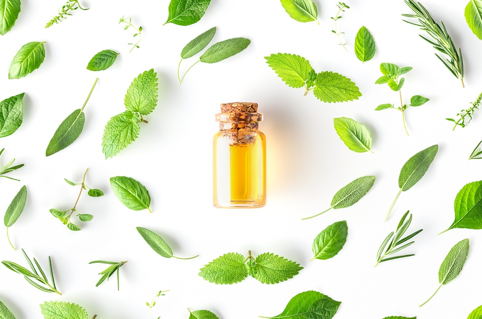 Foto de Farmácia homeopática: o que é, quais os benefícios e dúvidas