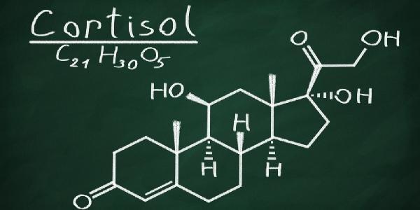 Foto de O que é cortisol, como se produz e principais dúvidas sobre o assunto